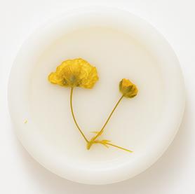 Lakzegels bloem 32-35 mm